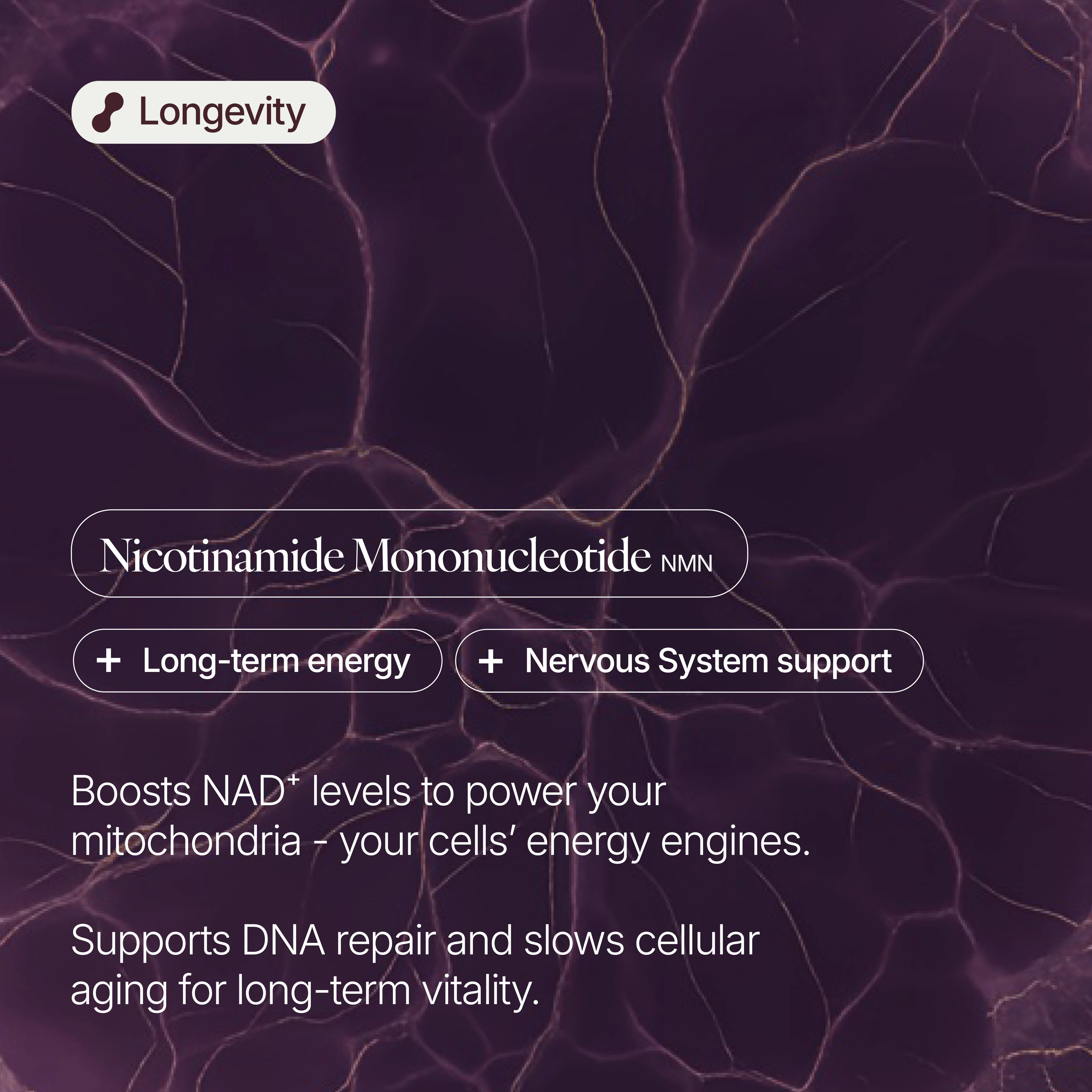 NMN (Nicotinamide Mononucleotide) 1000mg Capsules - Image 3
